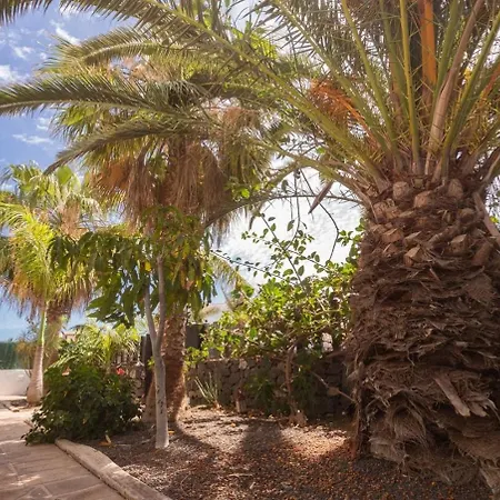 Villa La Quinta - Wonderful 4 Bed Villa-private Pool San Miguel de Abona